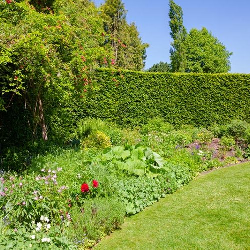 Garden maintenance