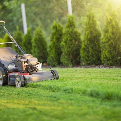 Grass cutting