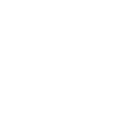 branches