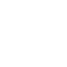 paving (7)